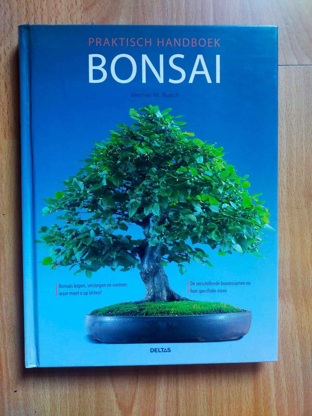 Bonsai Praktisch Handboek - Werner M. Busch (2009 als nieuw), Boeken, Ophalen of Verzenden, Zo goed als nieuw, Overige soorten