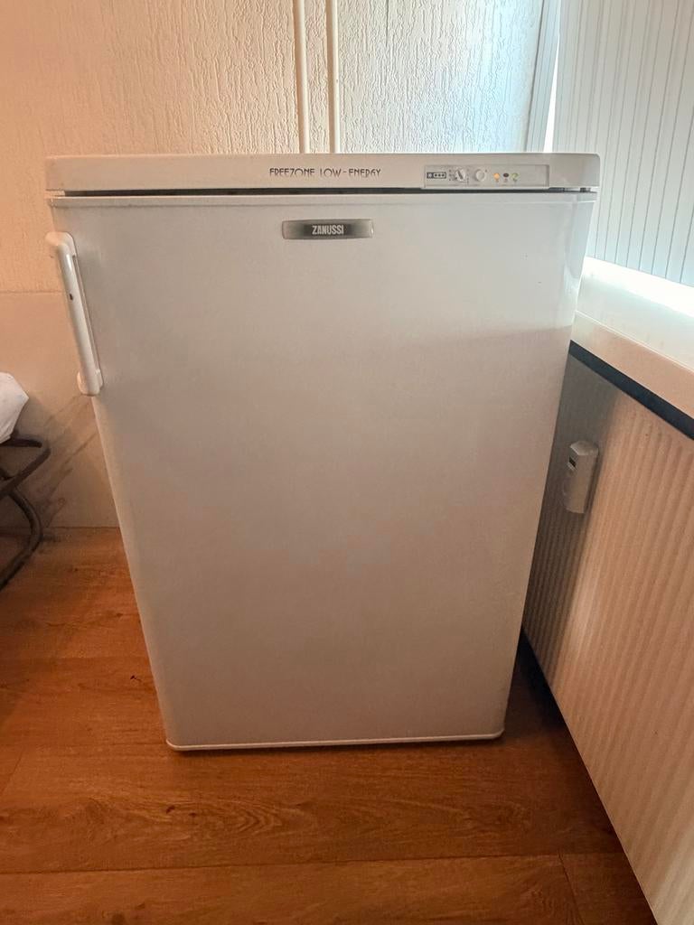 Zanussi Vriezer - Freezone Low-Energy, Ophalen, Zo goed als nieuw, 50 tot 100 cm
