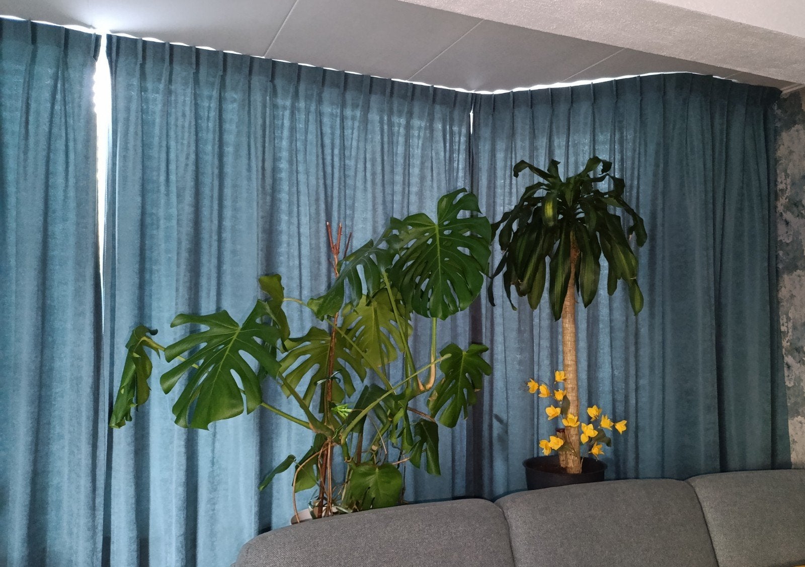 prachtige zgan Blauwe Velvet (polyester)velours gordijnen, Huis en Inrichting, Ophalen, 100 tot 150 cm, Blauw, 200 cm of meer
