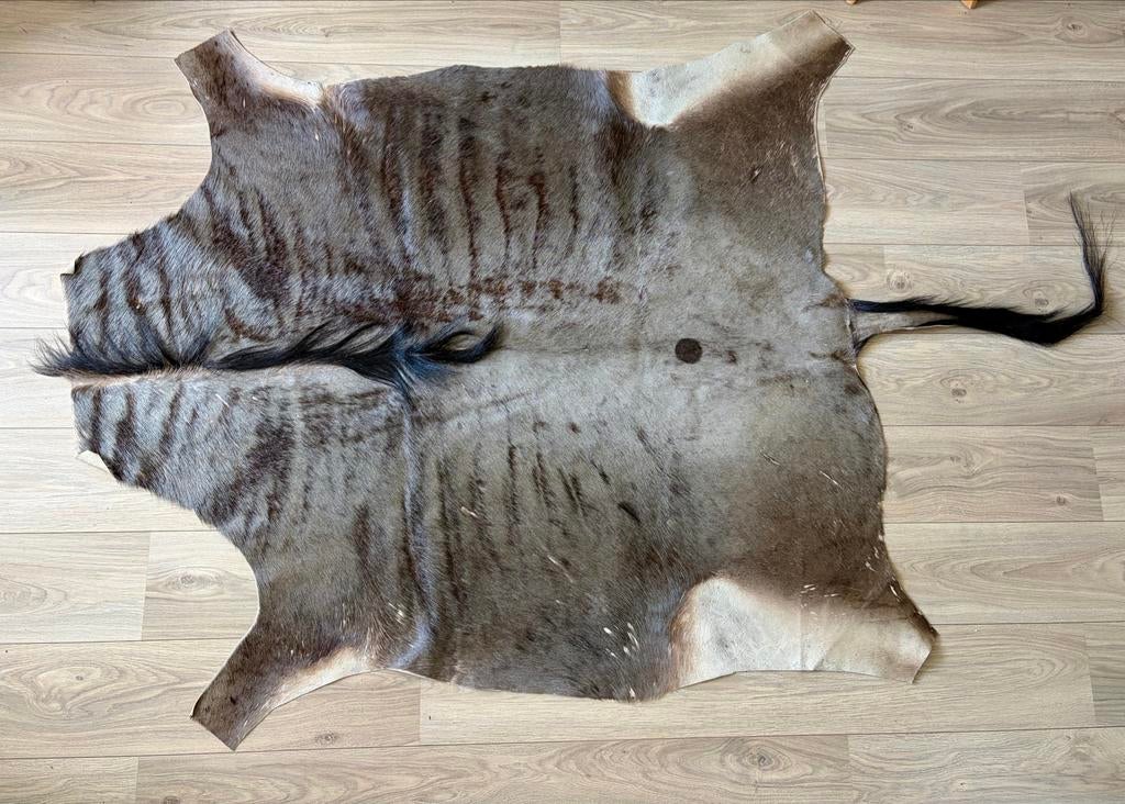 Echte Blue Wildebeest / Gnoe huid - 155x130 cm, Gebruikt, 100 tot 150 cm, Ophalen of Verzenden, 150 tot 200 cm