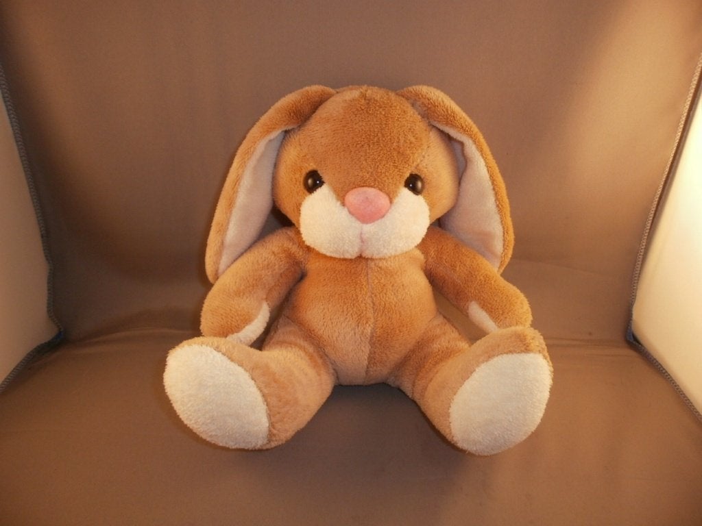 plushland konijn bruin/beige neus/oren 4 pootzolen 20 cm van, Ophalen of Verzenden, Zo goed als nieuw, Middelgroot (20 tot 80 cm)