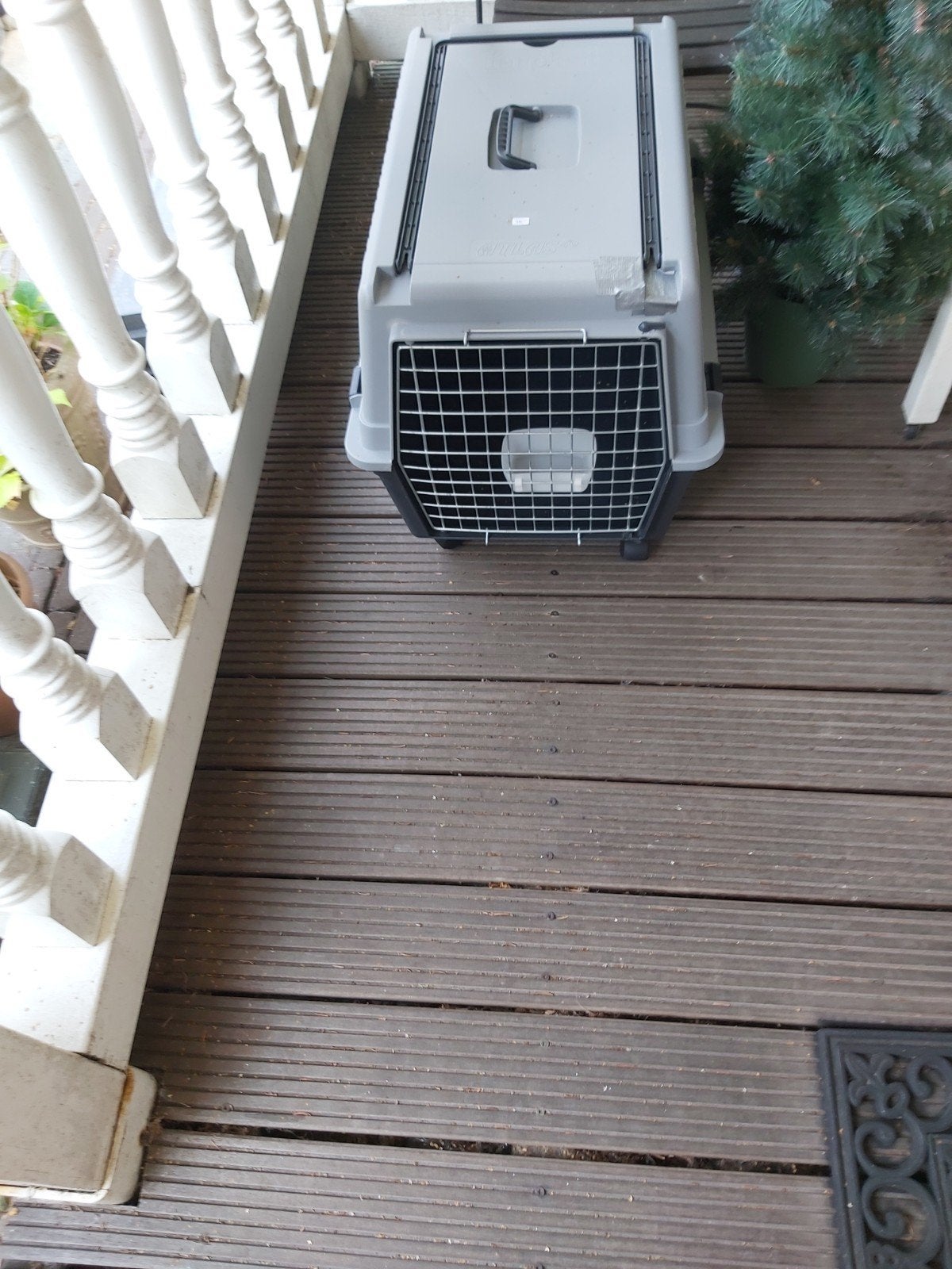 Grote Bench voor hond of Grote kat, Ophalen