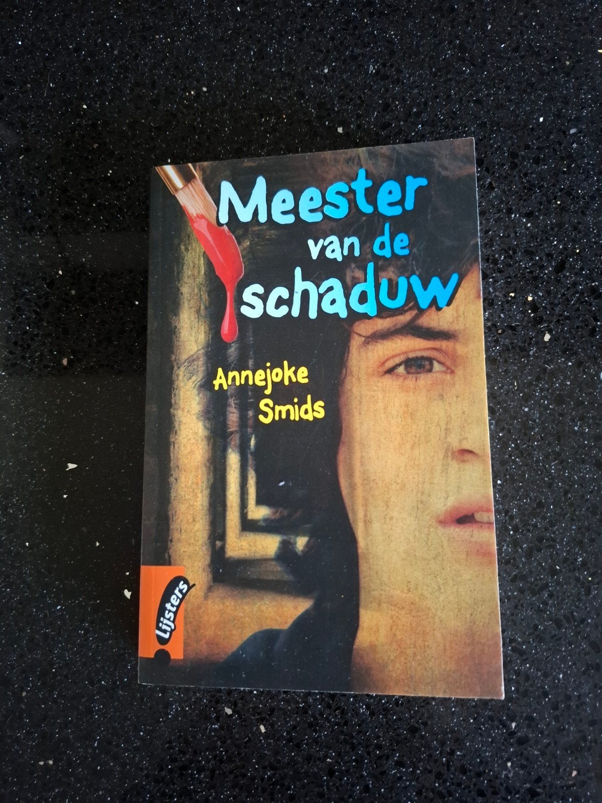 Meester van de schaduw - Annejoke Smids (paperback), Ophalen of Verzenden, Zo goed als nieuw, Annejoke Smids