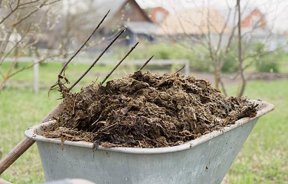 stalmest, Tuin en Terras, Aarde en Mest, Ophalen of Verzenden, Tuinaarde