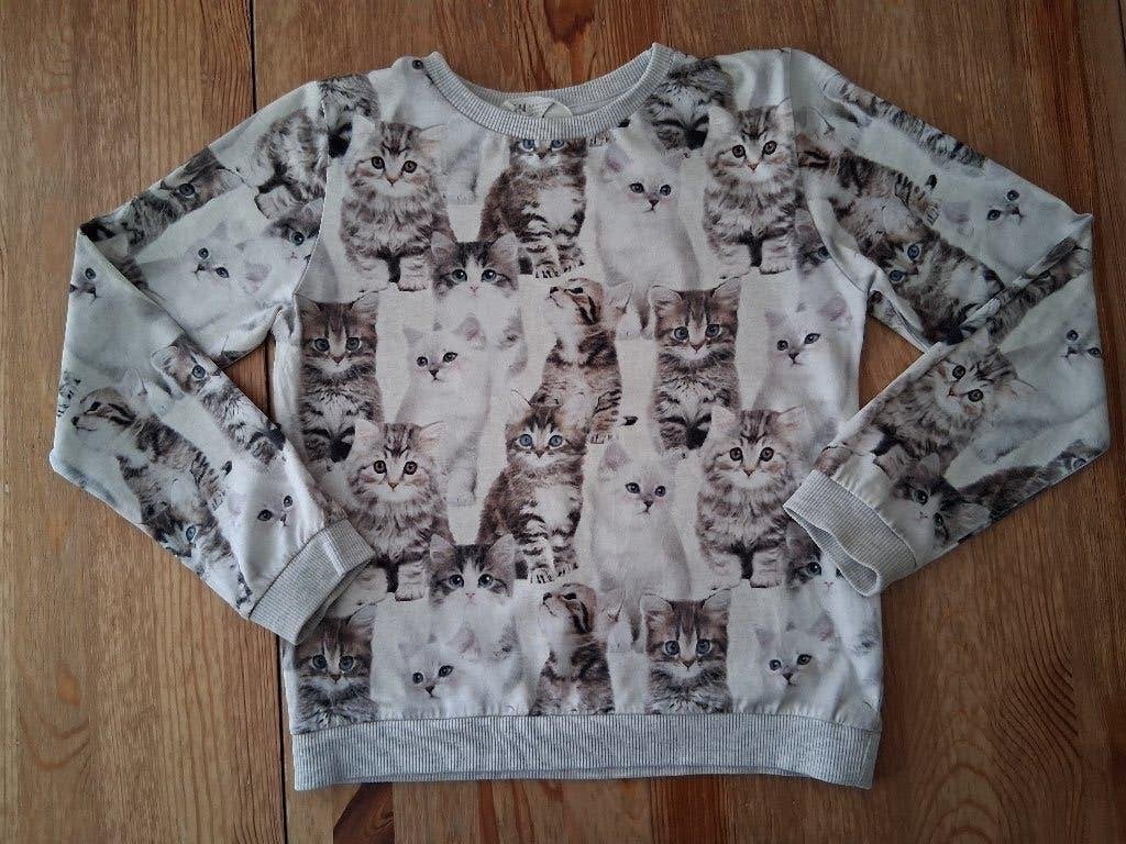 Grijze trui met poezen H&M maat 134-140, Ophalen of Verzenden, Zo goed als nieuw, Meisje, Trui of Vest