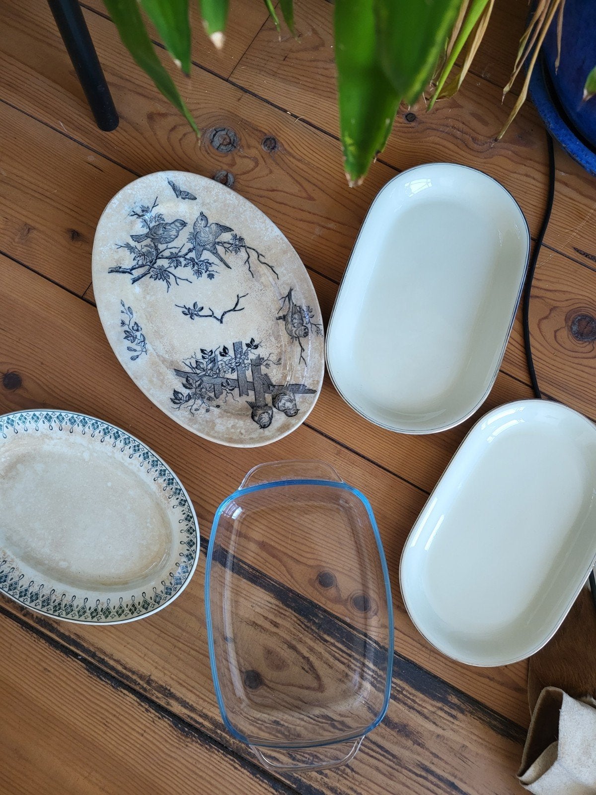 Gratis: Diverse schalen en ovenschotel, Ophalen, Gebruikt, Glas, Schaal of Schalen