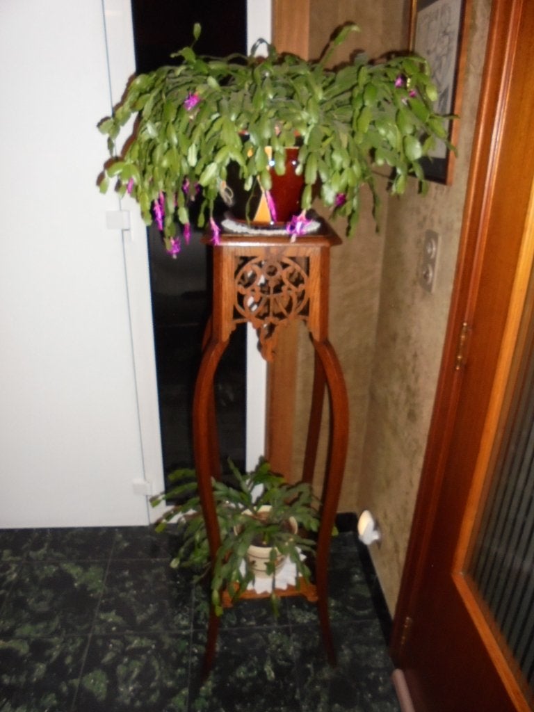plantenstaander art deco, Ophalen