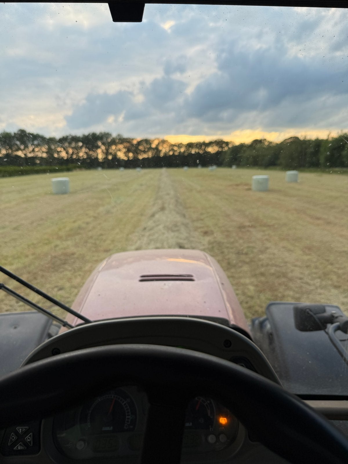 Grote balen paarden hooi, voordroog en kuil. Regio Den bosch, Dieren en Toebehoren