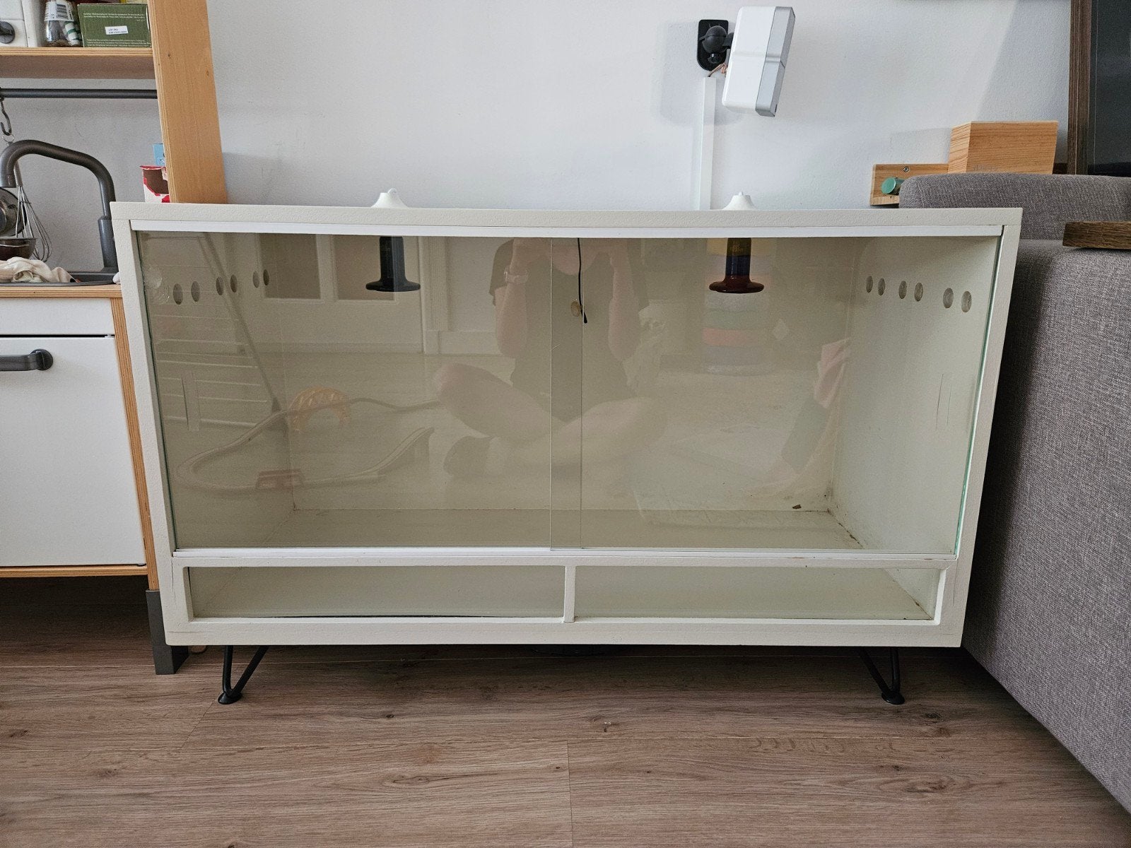 Terrarium/vivarium., Ophalen, Gebruikt, Terrarium of Paludarium