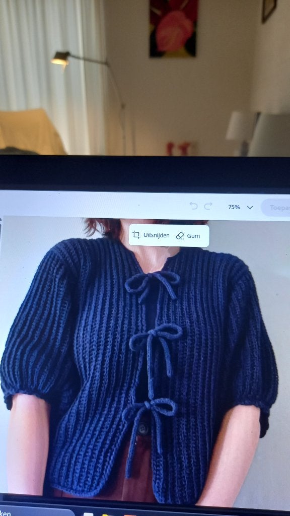 gehaakte topjes/vesten/babydekens en omslagdoeken enz., Maat 38/40 (M), Meerkleurig, Nieuw, Ophalen of Verzenden