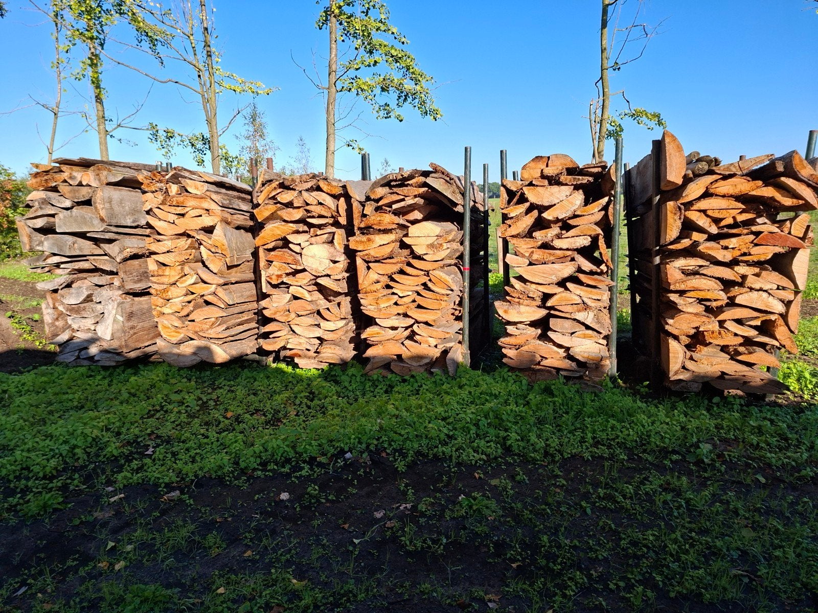 Kachelhout - Diverse Houtsoorten, 3 tot 6 m³, Ophalen, Eikenhout, Blokken