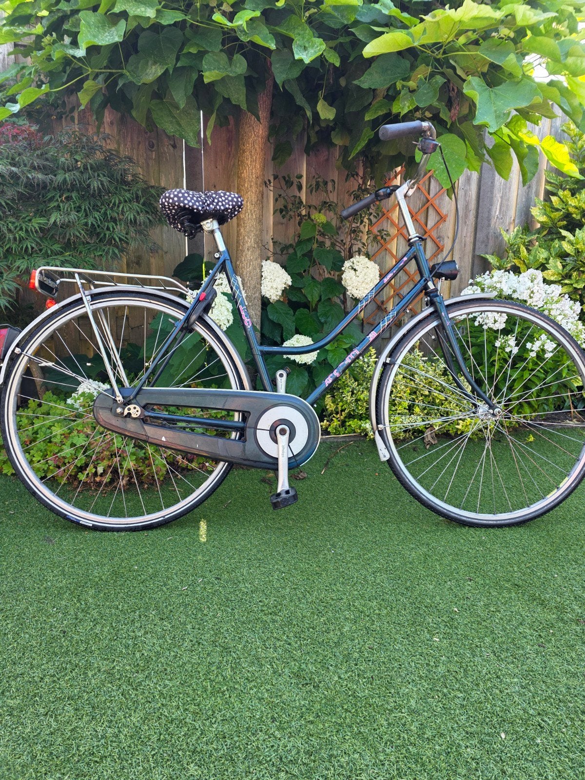 Koga Miyata damesfiets met terugtraprem, Terugtraprem, Versnellingen, Ophalen, Overige merken