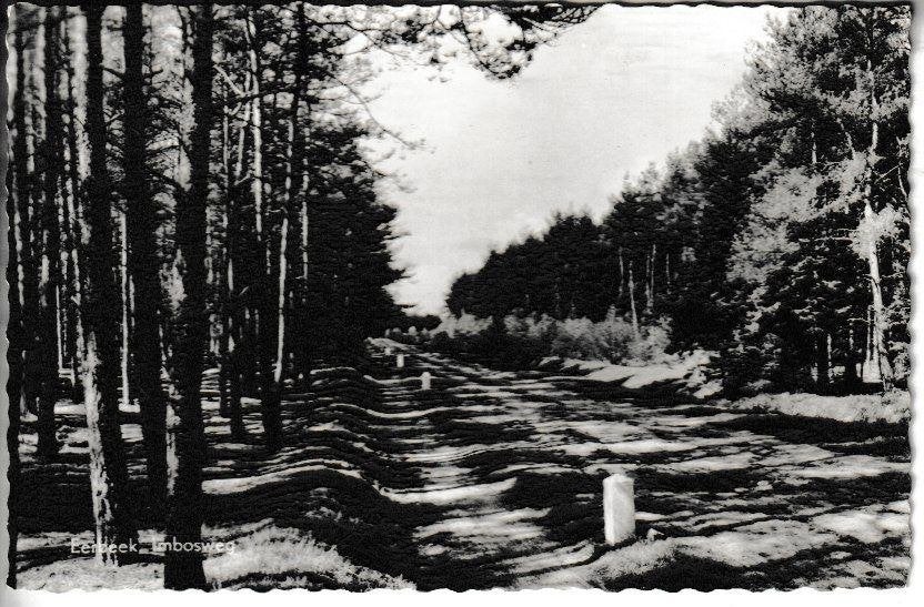 EERBEEK - IMBOSWEG, Ophalen of Verzenden, 1960 tot 1980, Gelopen, Natuur