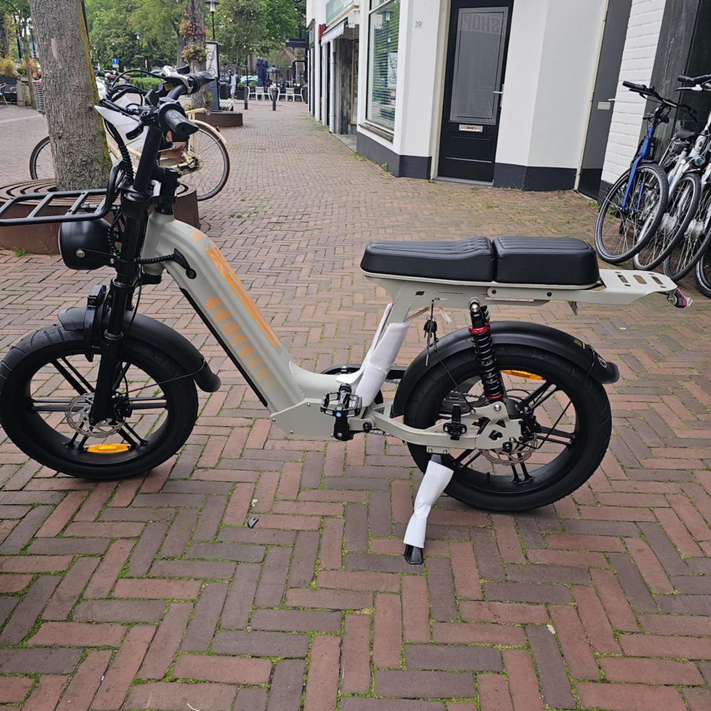 Nieuwe elektrische fiets dames, Ophalen of Verzenden, Nieuw, Overige modellen