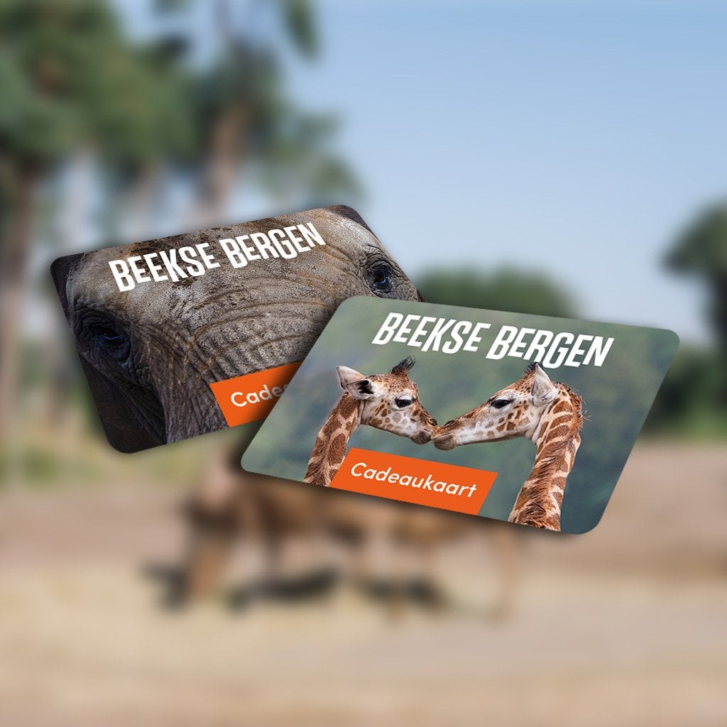 Cadeaukaart Beekse Bergen – €120 waarde | Digitale voucher, Drie personen of meer, Cadeaubon, Overige typen