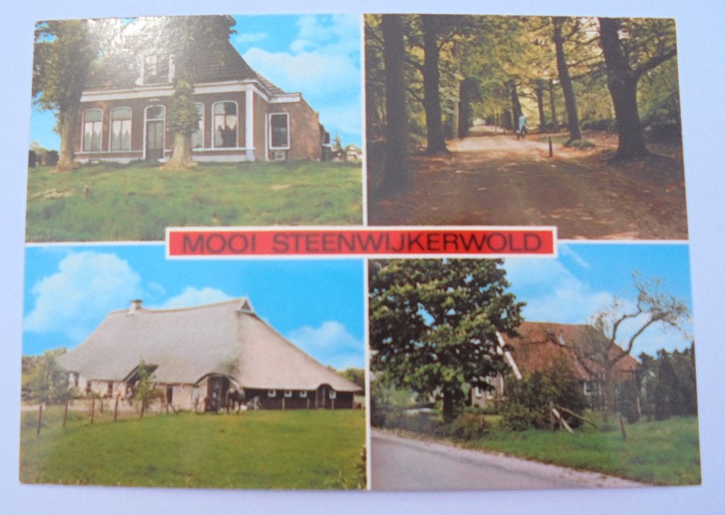 4-luik MOOI STEENWIJKERWOLD boerderijen en Woldberg Eese., Verzamelen, Ophalen of Verzenden, 1960 tot 1980, Ongelopen, Overijssel