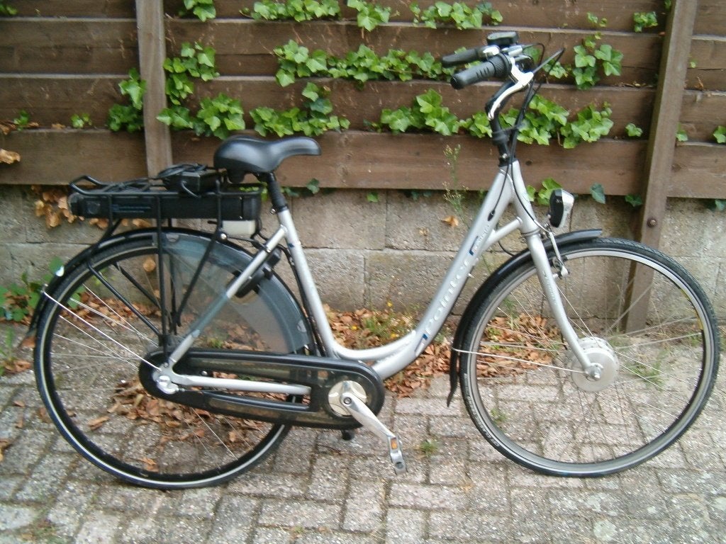 pointer edenta, 47 tot 51 cm, Ophalen, Zo goed als nieuw, Overige merken