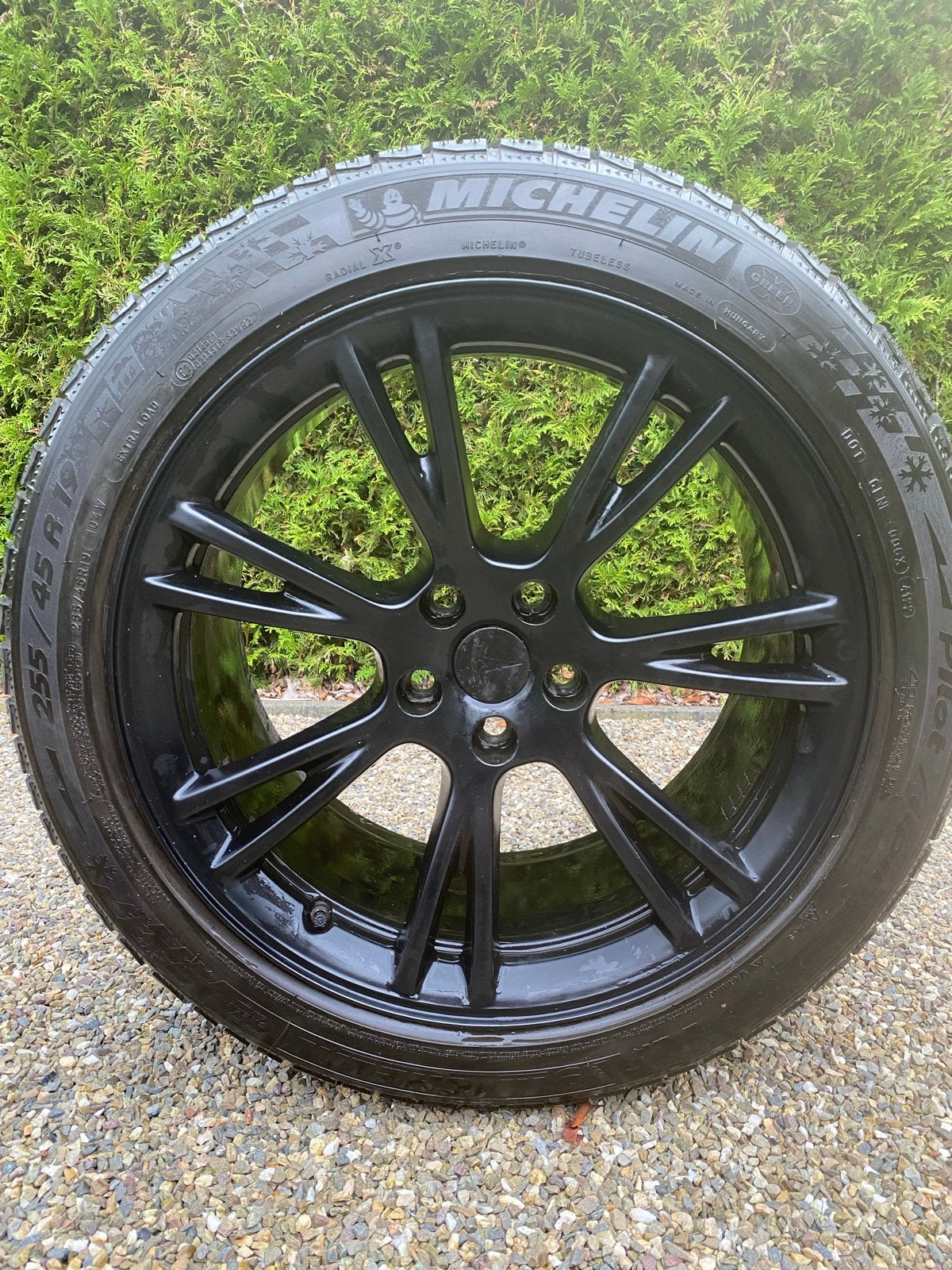 Originele Tesla Gemini velgen met Michelin winterbanden
