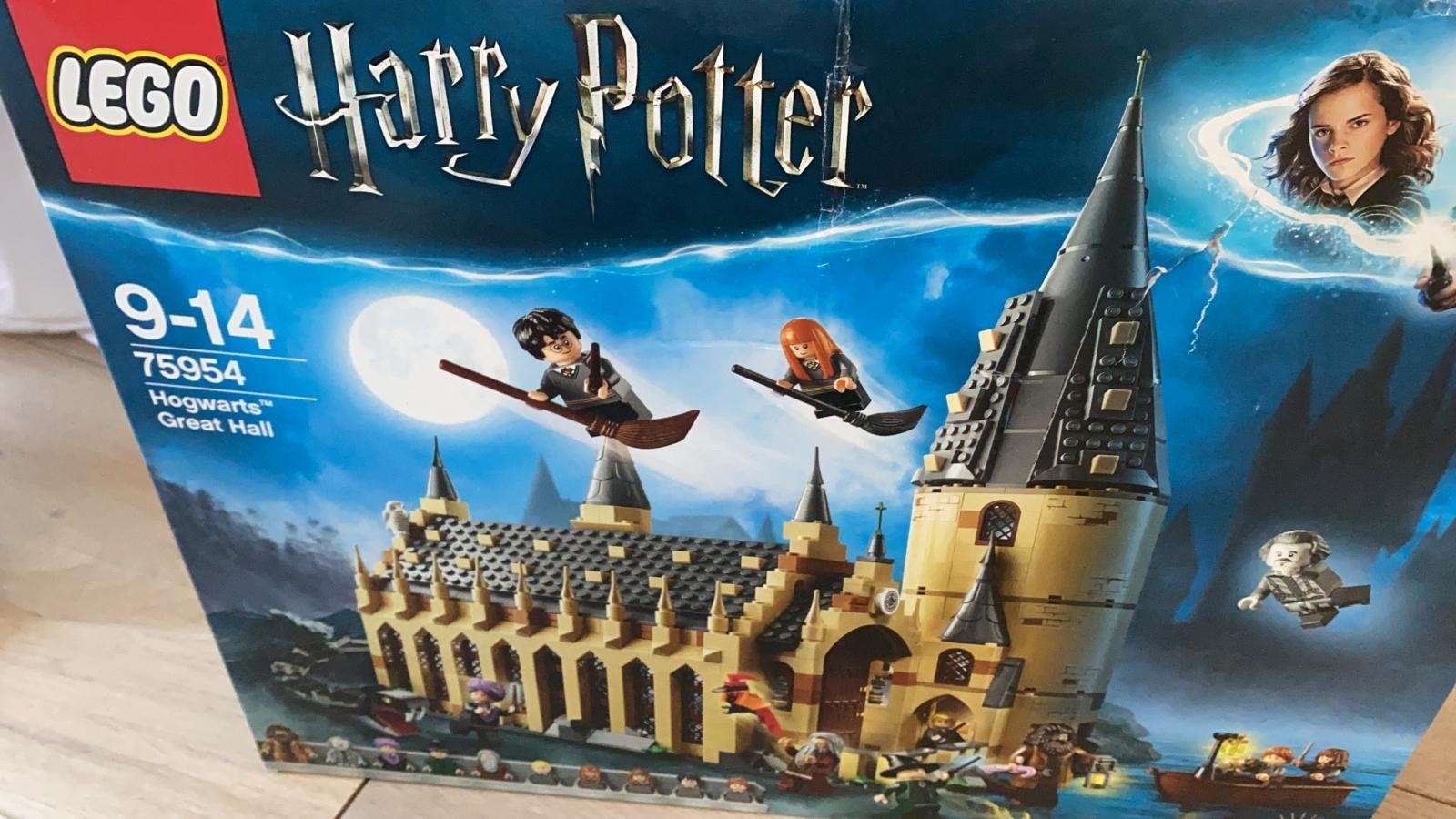 LEGO Harry Potter Zweinstein Grote Zaal 75954, Ophalen, Zo goed als nieuw, Overige merken