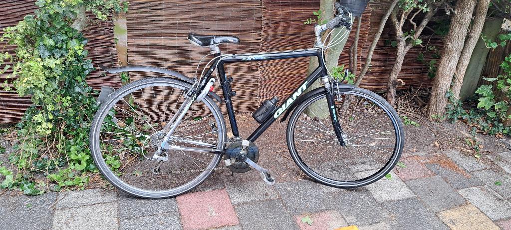 Giant, Ophalen, Gebruikt, 57 cm of meer, Hardtail