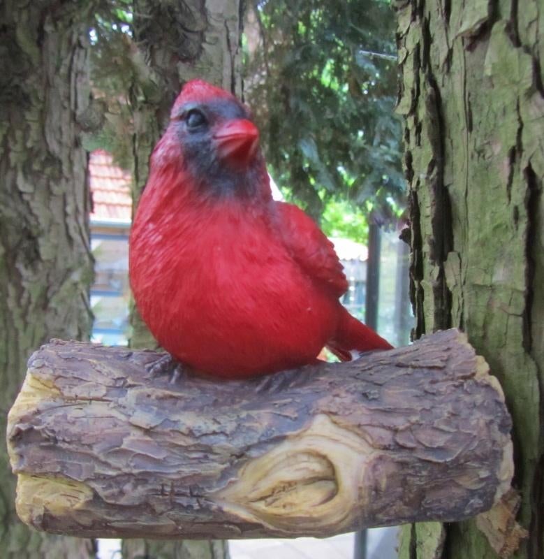 RODE KARDINAAL, Tuin en Terras, Tuinwanddecoratie, Nieuw, Ophalen of Verzenden
