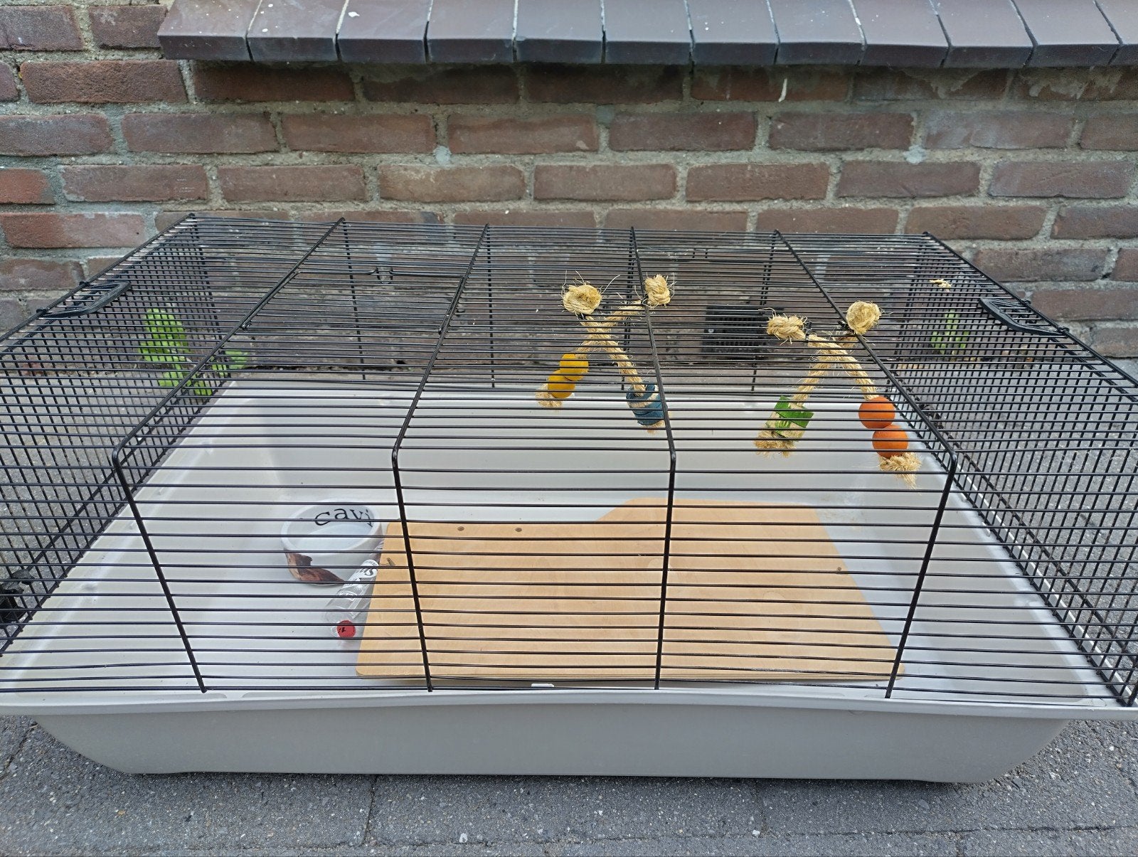 Hok voor cavia, Gebruikt, Minder dan 75 cm, Hok, Cavia