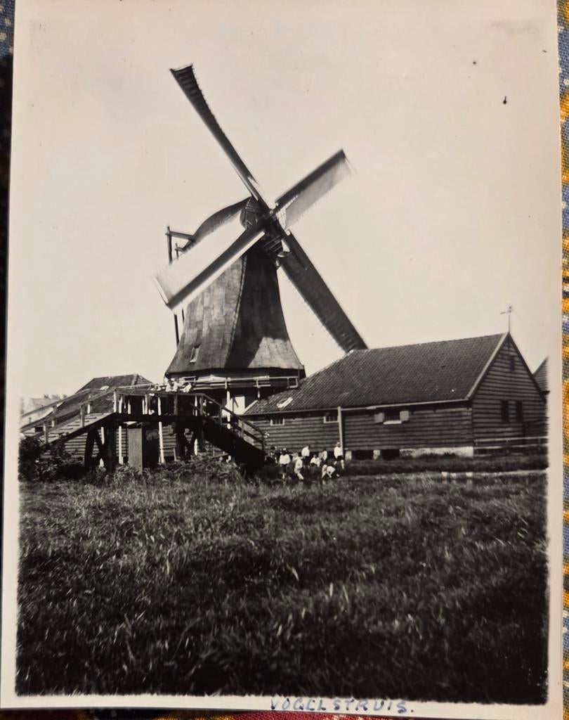 Zaandam molen de Vogelstruis, Verzamelen, Foto's en Prenten, Ophalen of Verzenden, Voor 1940, Zo goed als nieuw, Overige onderwerpen