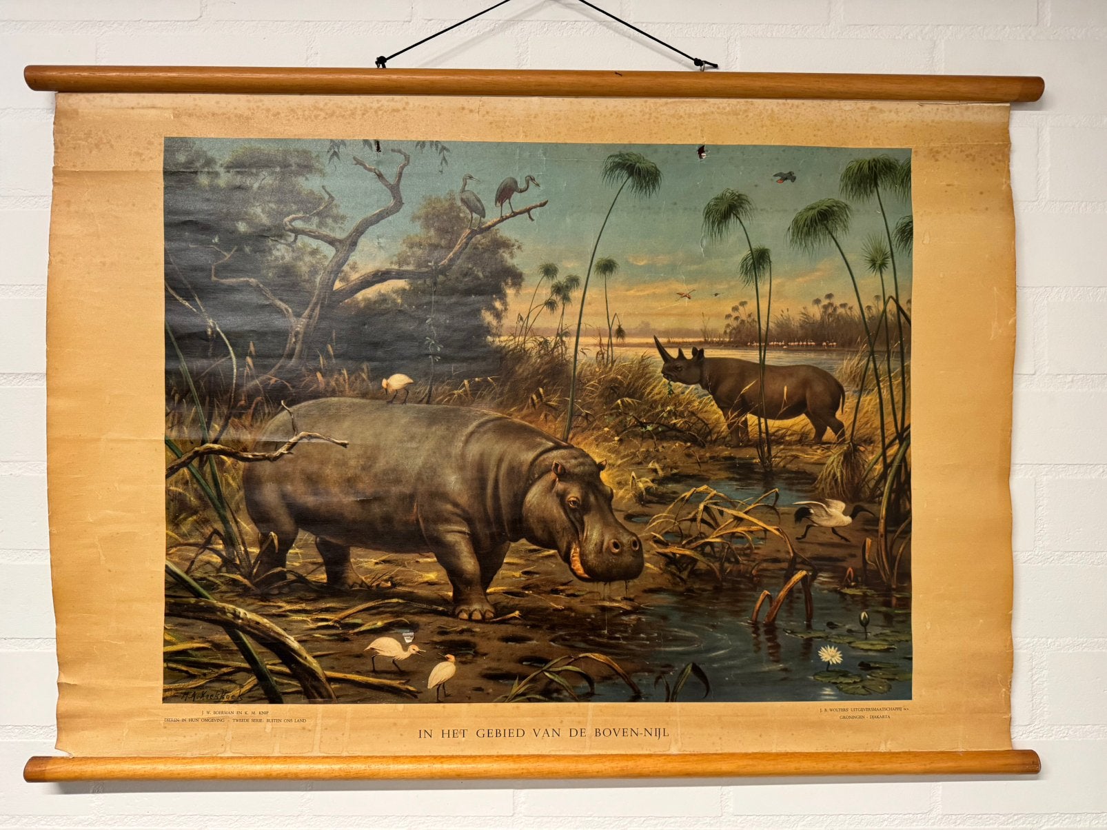 Originele vintage schoolplaat M.A.Koekkoek Nijl (Nijlpaard), Ophalen, Natuur en Biologie