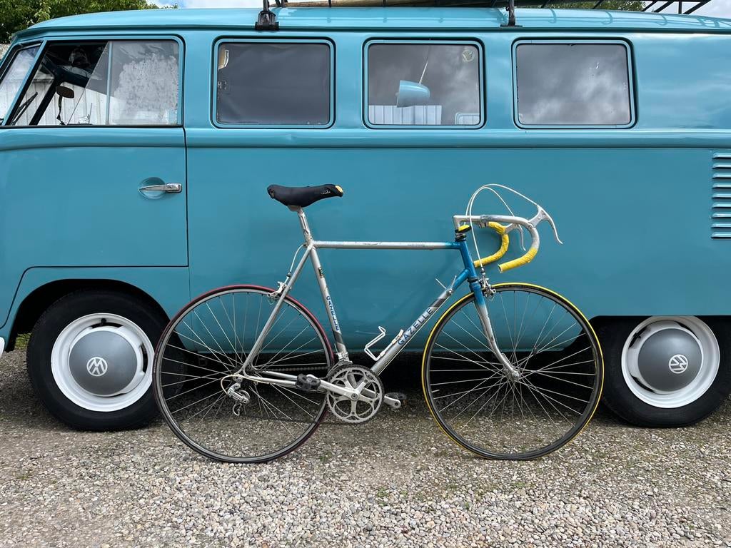 Gazelle race trophy, Ophalen, Gebruikt, 57 tot 61 cm, Gazelle