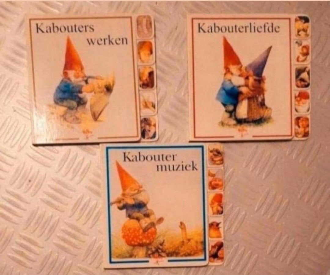 Kabouter boeken van Rien Poortvliet, Ophalen of Verzenden, Zo goed als nieuw