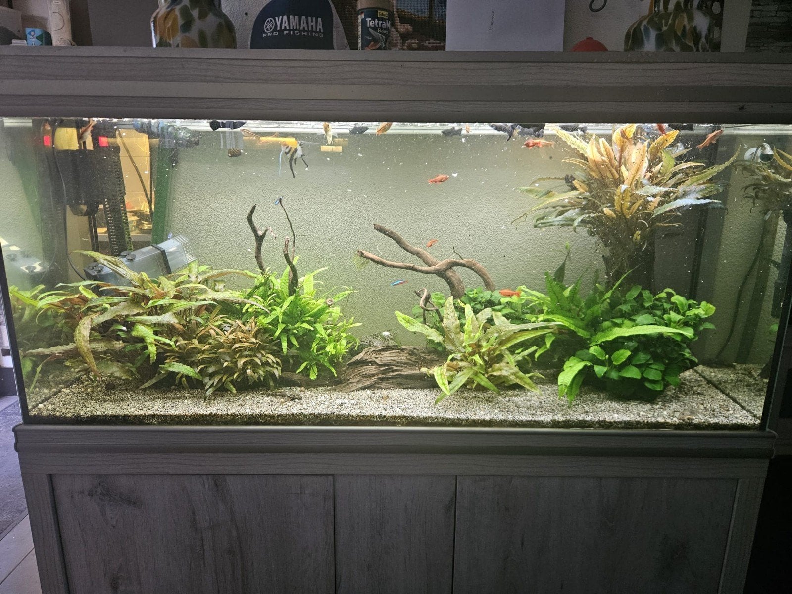 aqualantis 180 liter., Dieren en Toebehoren, Ophalen, Inclusief vissen, Gevuld zoetwateraquarium, Aquatlantis