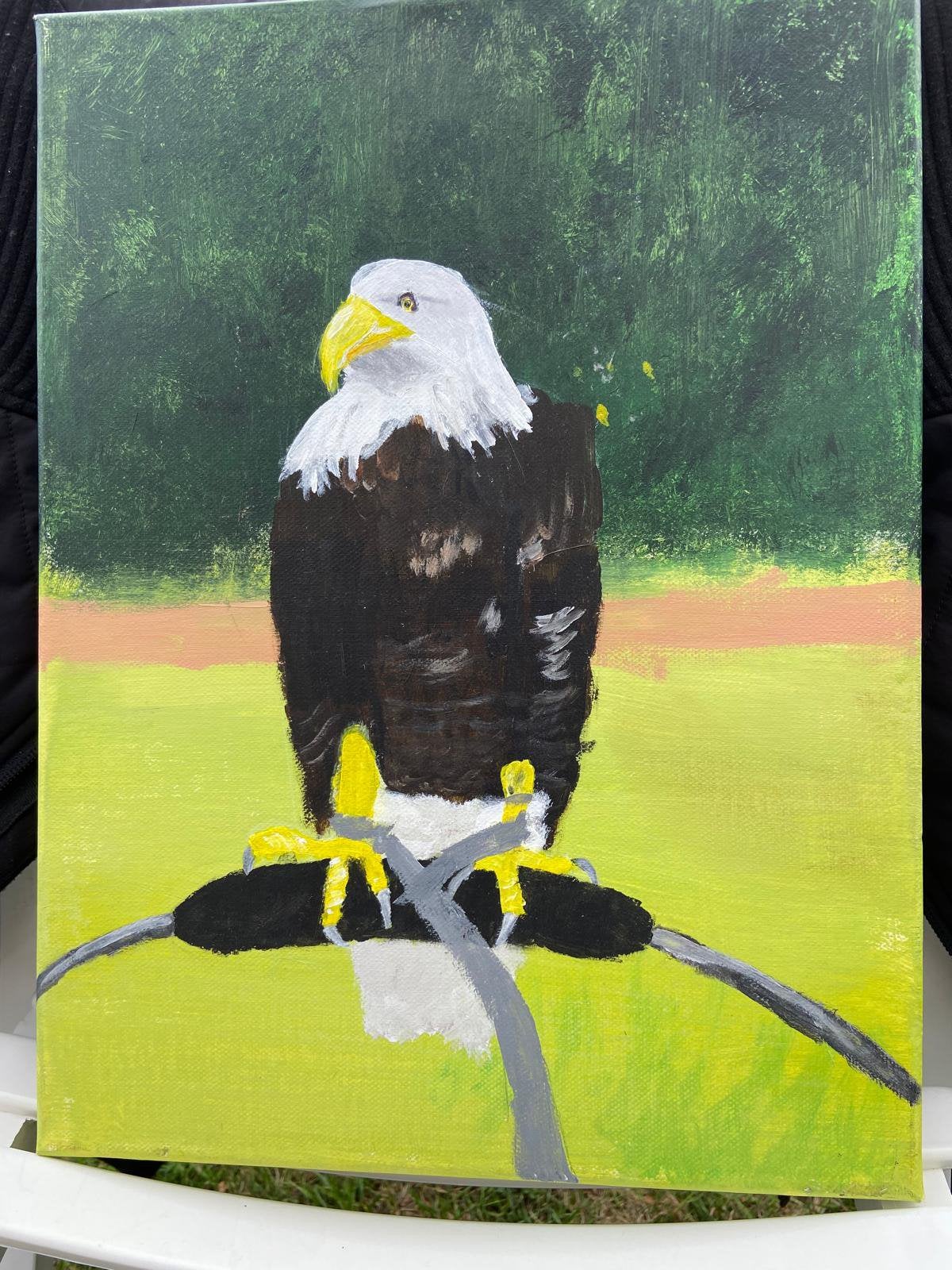 Schilderij zeearend, Acrylverf, Handgeschilderd, Ophalen of Verzenden, Dieren