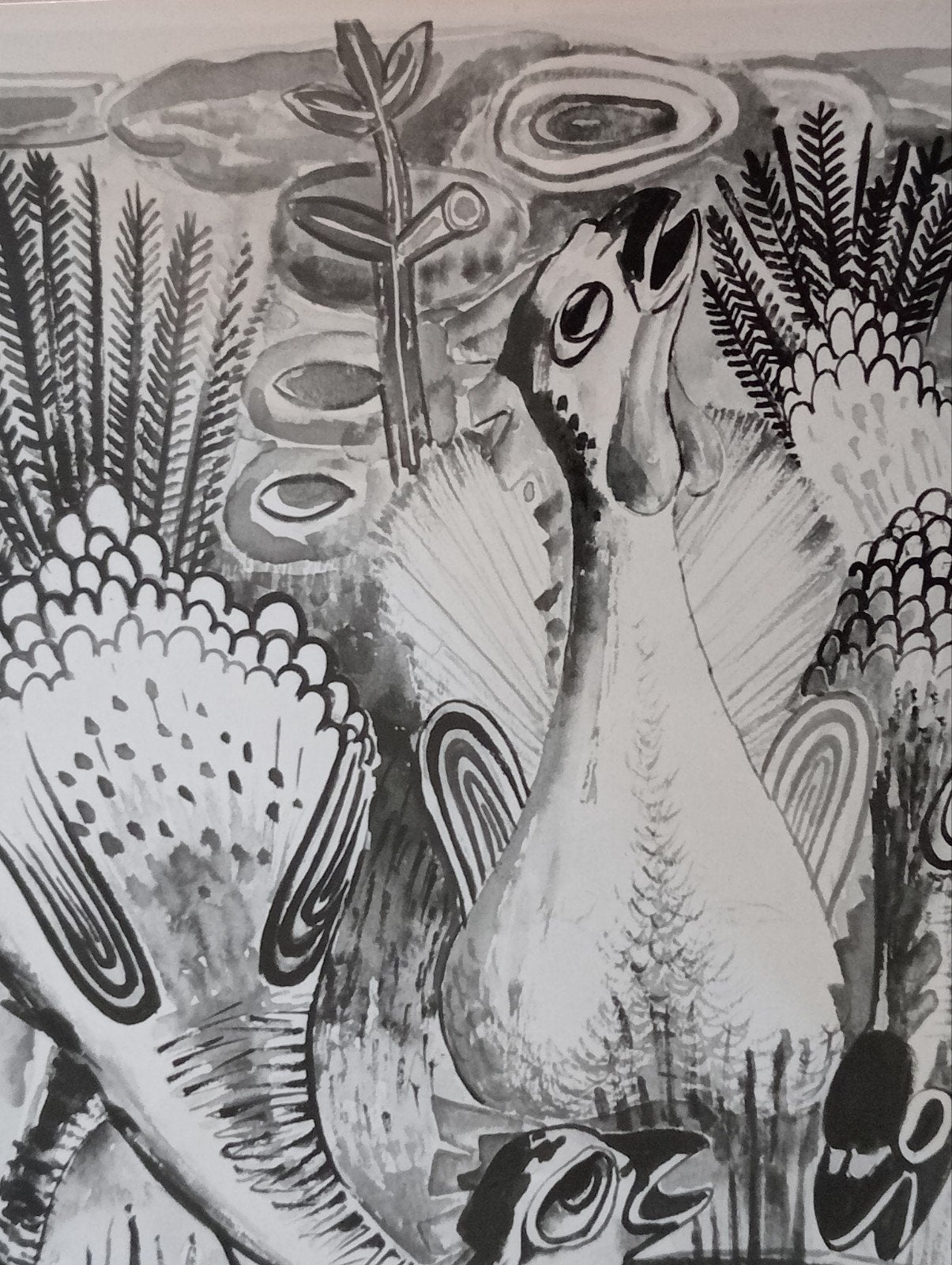 Hubert (Huub) Levigne Persfoto drie exotische vogels, Antiek en Kunst, Kunst | Tekeningen en Foto's, Ophalen of Verzenden