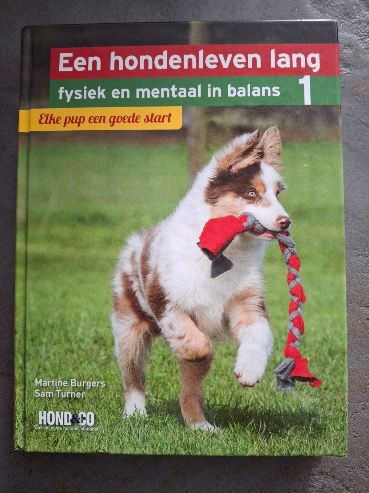 Een hondenleven lang: Elke pup een goede start, Ophalen of Verzenden, Zo goed als nieuw, Honden, Martine Burgers, Sam Turner