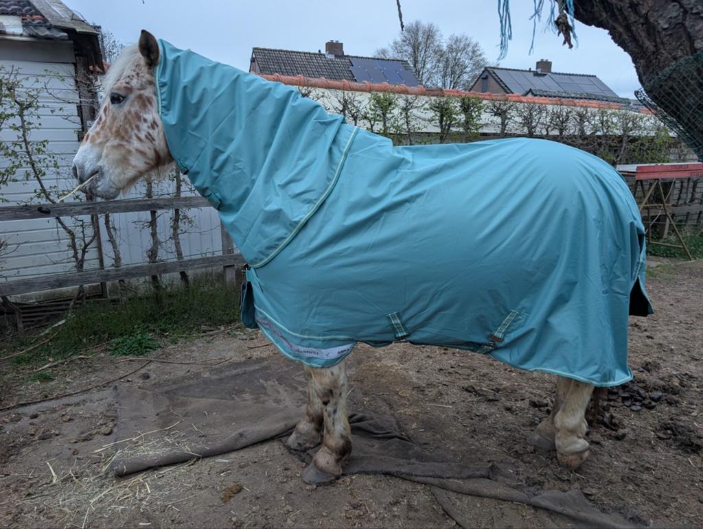 Regendeken 0 gram Lemieux Arika Ripstop 205/210 6:9 Lagoon., Dieren en Toebehoren, Ophalen of Verzenden, Nieuw