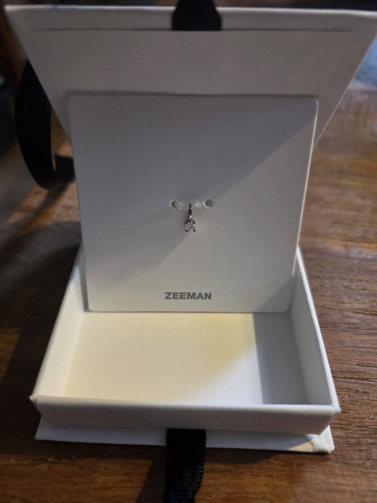 Zeeman Lab Grown Diamant hanger + doosje, Overige voorstellingen, Nieuw, Ophalen of Verzenden, Steen of Mineraal