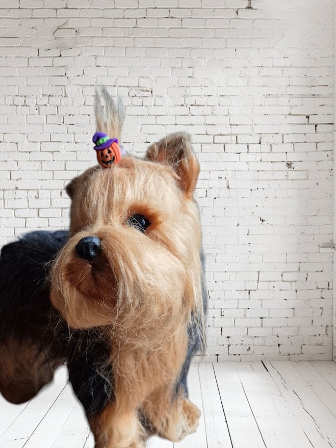 Halloween haarspeldjes voor honde, Nijkerkerstraat 3, Amersfoort, Overige typen, Overige merken, Bloesemdroom