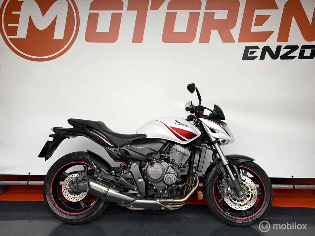 Honda CB 600 F Hornet ABS in nette staat onderhoudshistorie, Bedrijf, Meer dan 35 kW, Toermotor, 599 cc