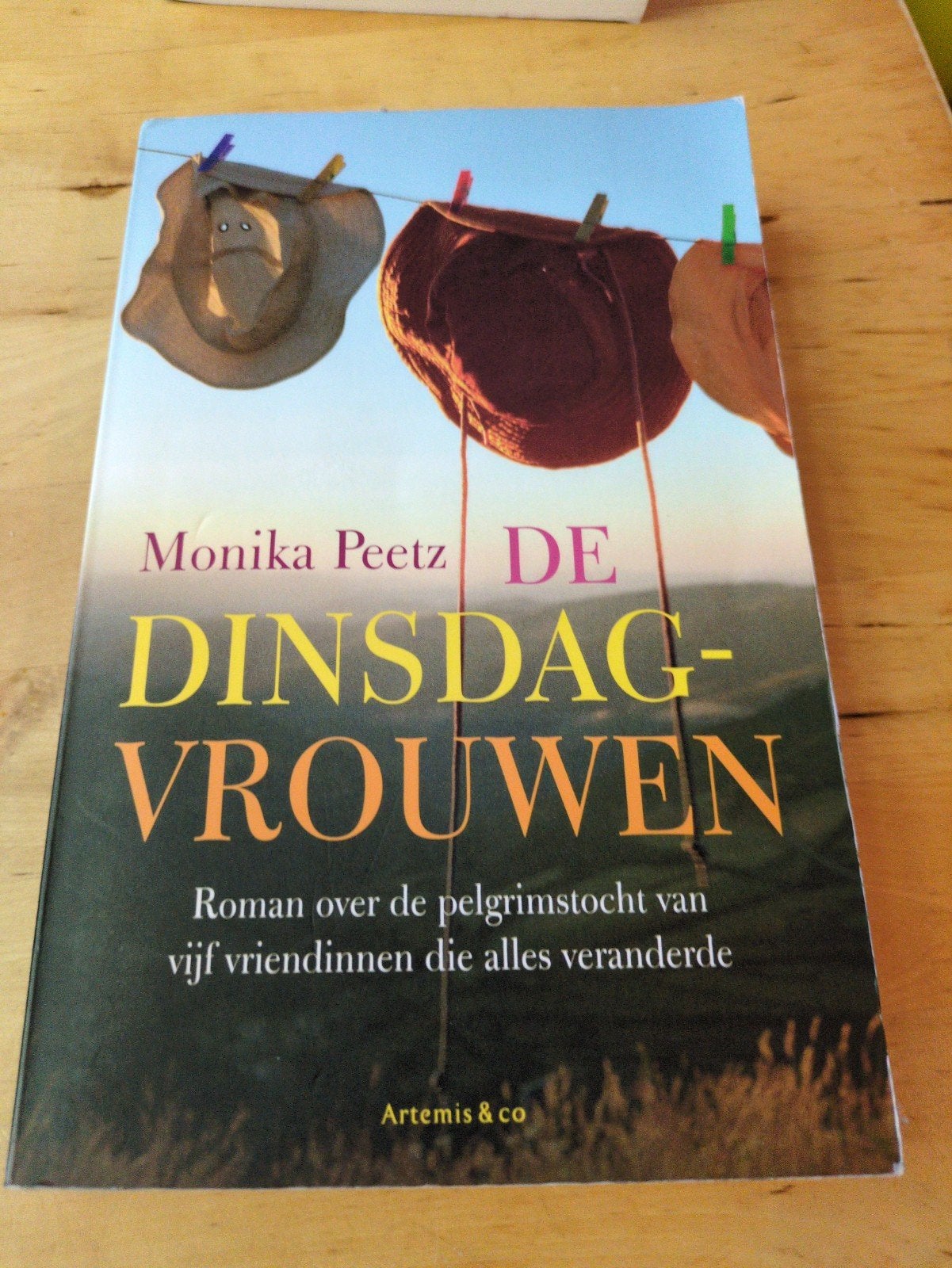 De Dinsdagvrouwen - Monika Peetz (Roman), Boeken, Ophalen of Verzenden, Gelezen, Monika Peetz, Europa overig