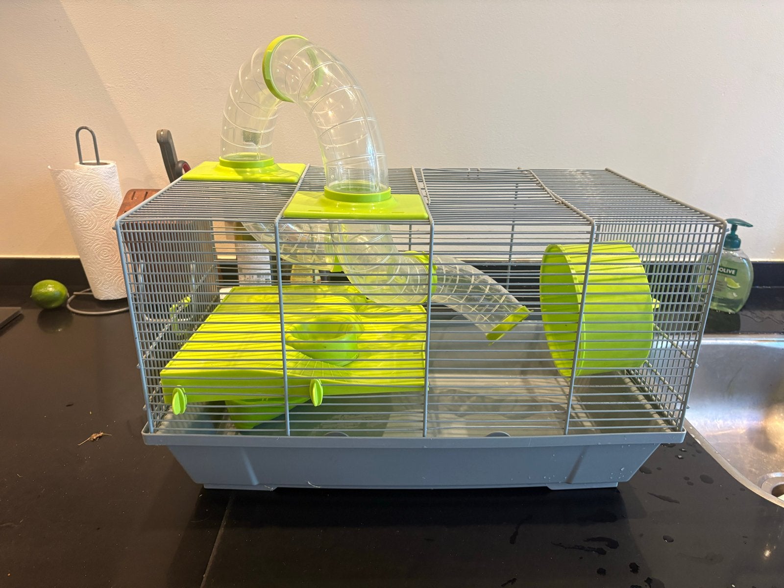 Hamsterkooi met buizen en loopwiel, Ophalen, Gebruikt, Loopwiel of Rad