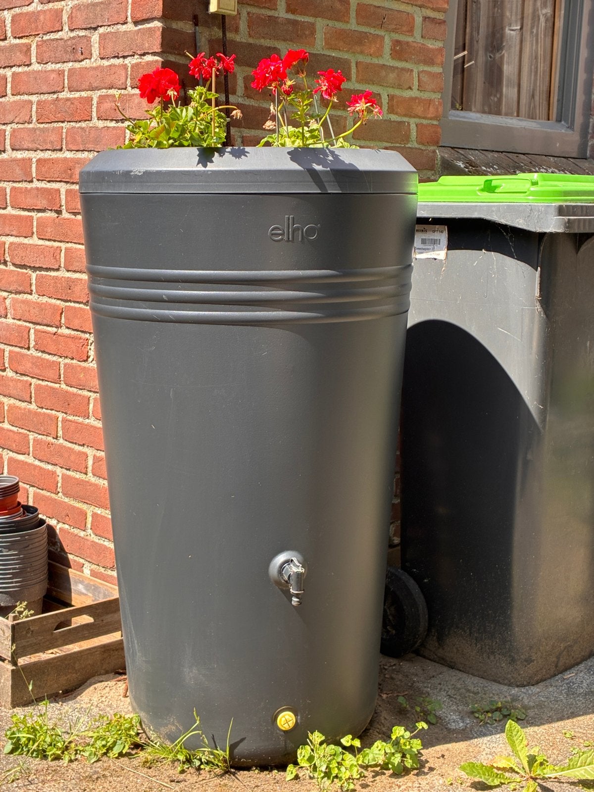 Elho Green Basics Regenton Living Black 200L met plantenbak, Ophalen, Kunststof, Gebruikt, Met kraantje