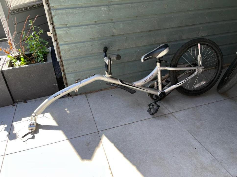 Giant halfwheeler aanhangfiets, Fietsen en Brommers, Ophalen, Gebruikt, Hondenkar