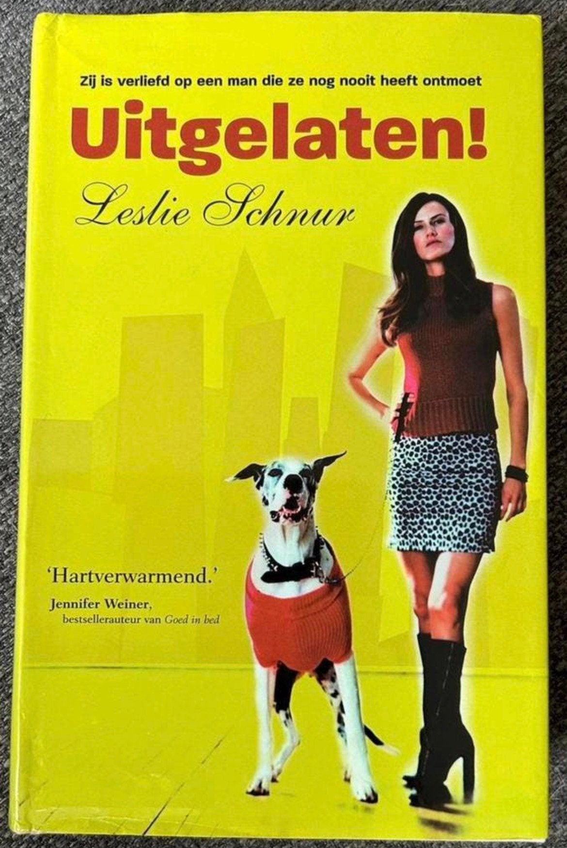Leslie Schnur – Uitgelaten ! (Hardcover/Gebonden, Ophalen of Verzenden, Zo goed als nieuw