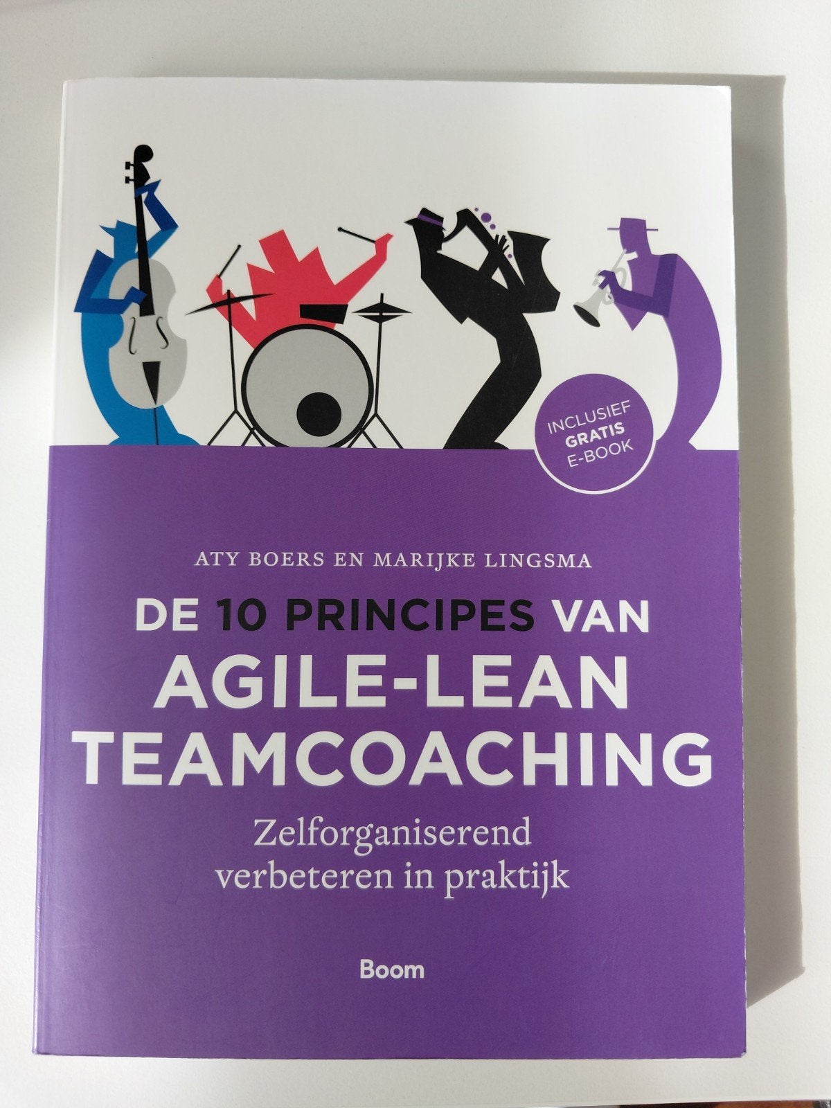 De 10 principes van Agile-Lean Teamcoaching, Boeken, Ophalen of Verzenden, Zo goed als nieuw, Management, Aty Boers en Marijke Lingsma