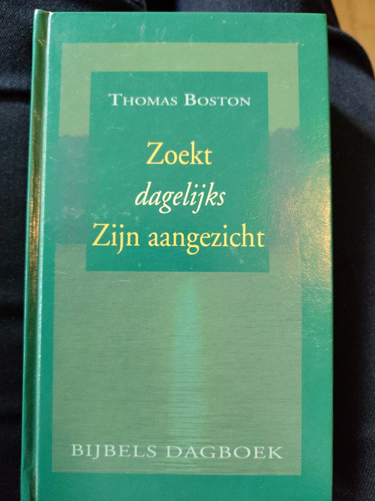 Thomas Boston - Zoekt dagelijks Zijn aangezicht, Boeken, Ophalen of Verzenden, Zo goed als nieuw, Thomas Boston