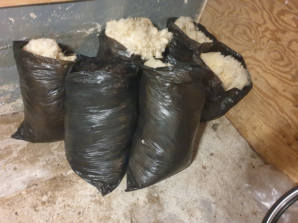 Wol van Texelaar/Swifter schaap - 9 vachten., Ophalen, Nieuw, Natuurlijk materiaal, Knutselmateriaal