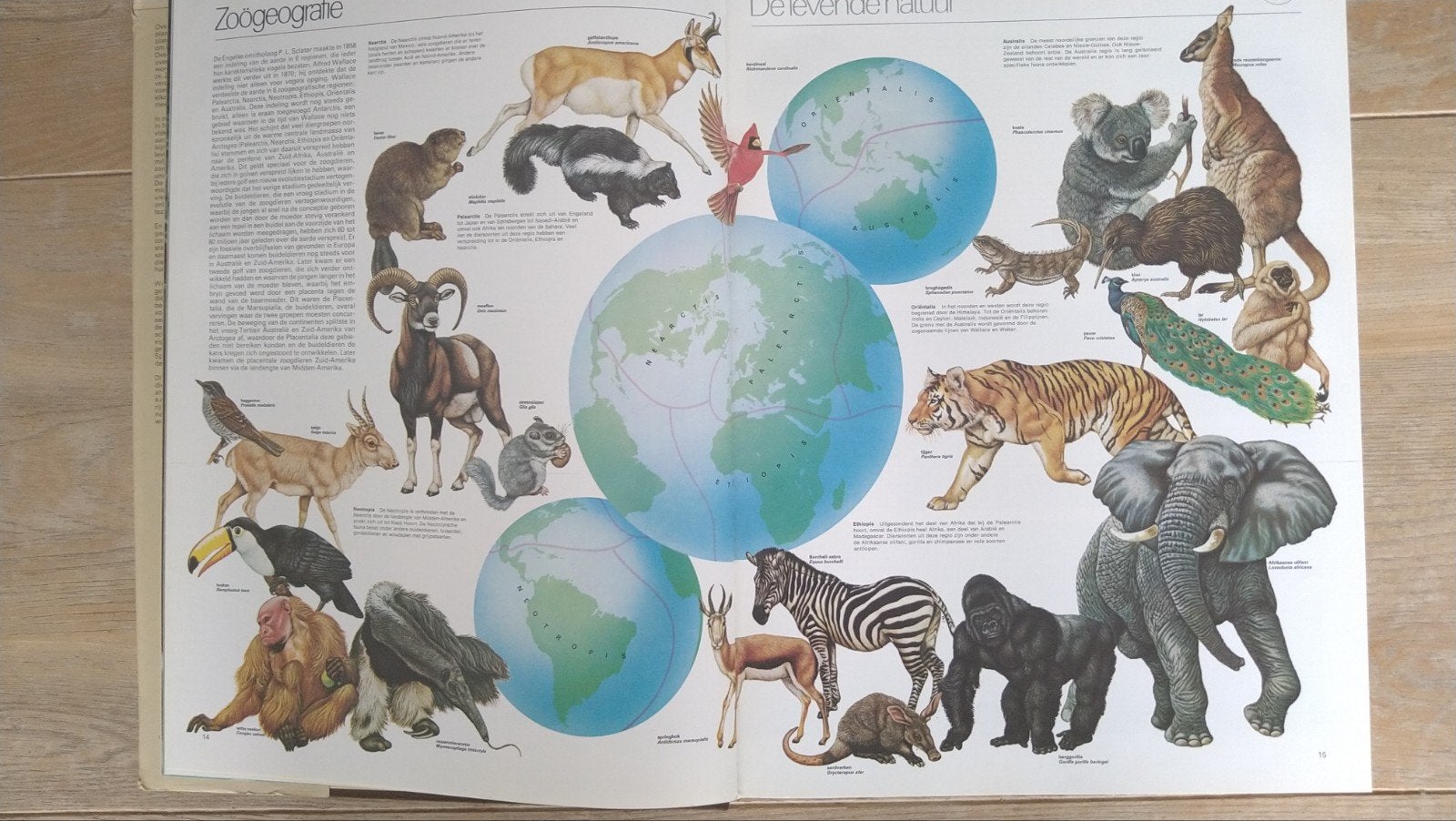 Spectrum dierenatlas groot, uitgebreid boek dieren & natuur, Boeken, Ophalen of Verzenden, Overige diersoorten
