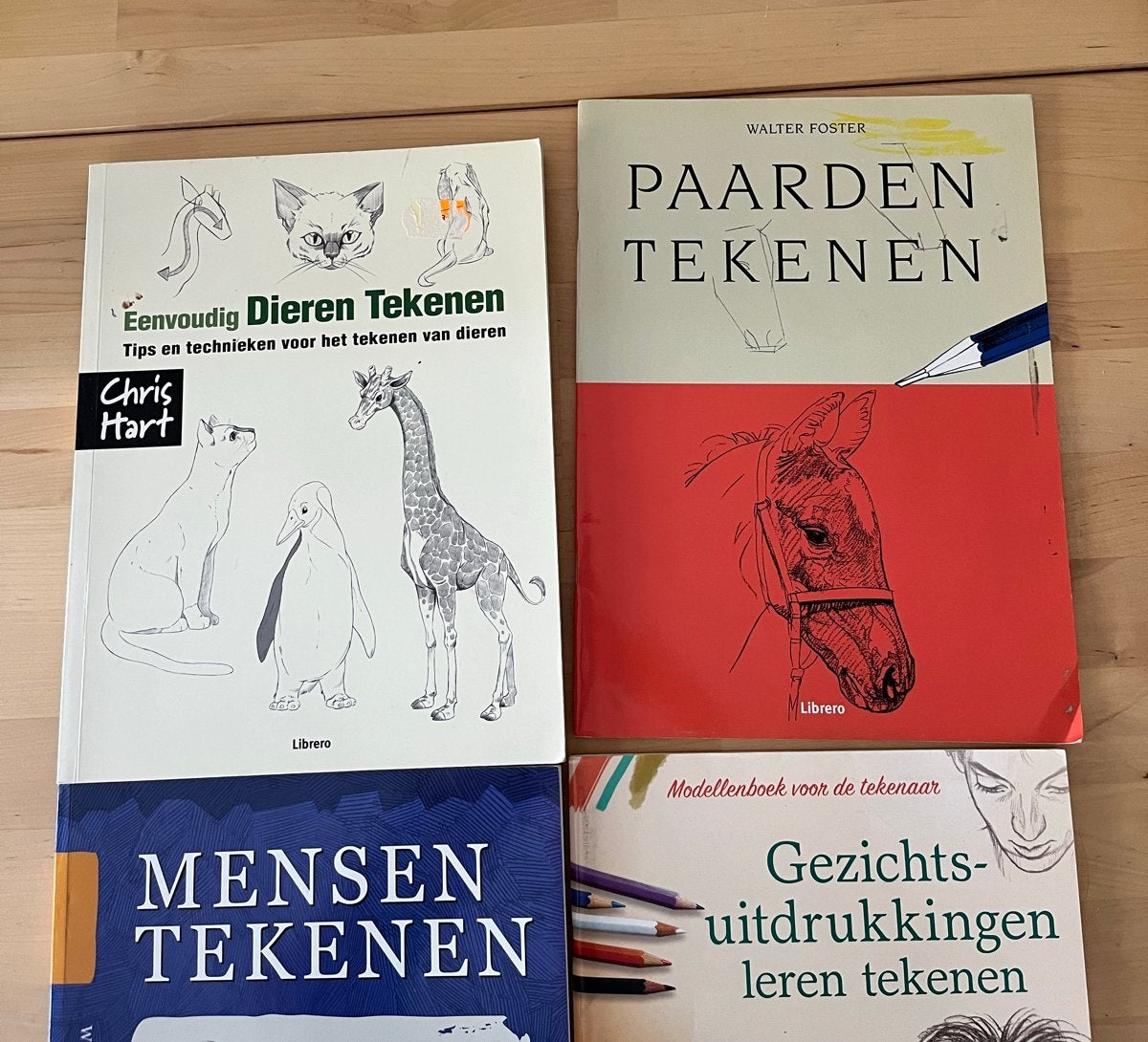 Tekenboeken: Dieren, Paarden, Mensen, Gezichtsui, Ophalen, Gebruikt, Papier, Schets- of Tekenboek