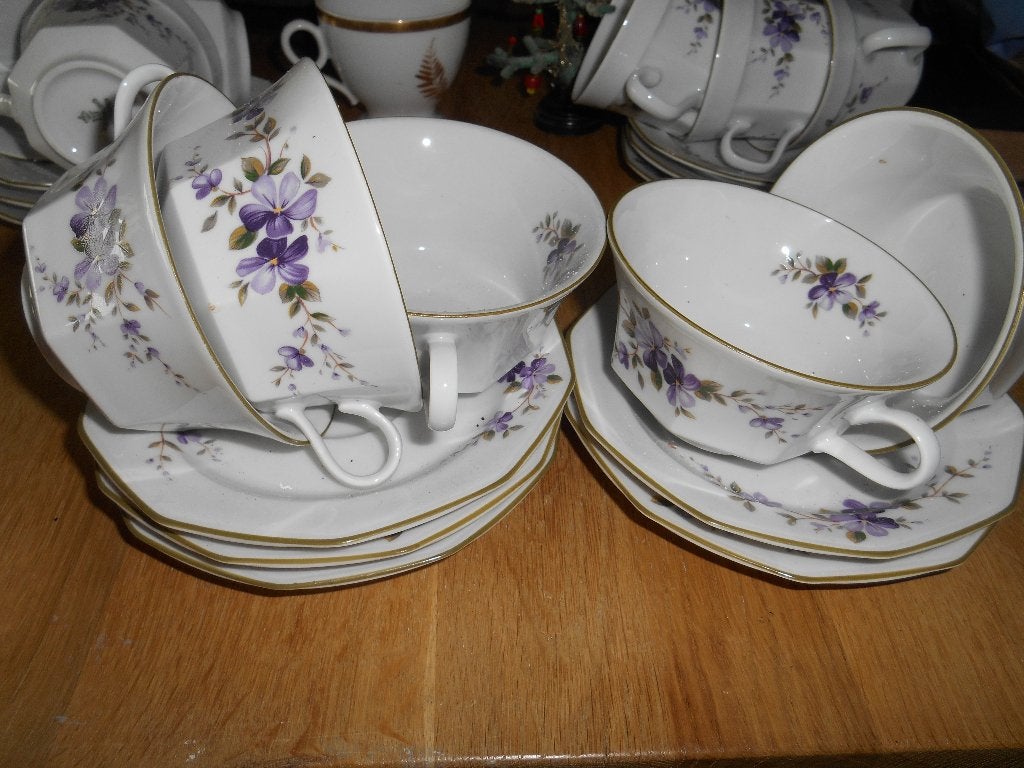 10 prachtige kop en schotel violen  koopje 15 euro, Ophalen of Verzenden