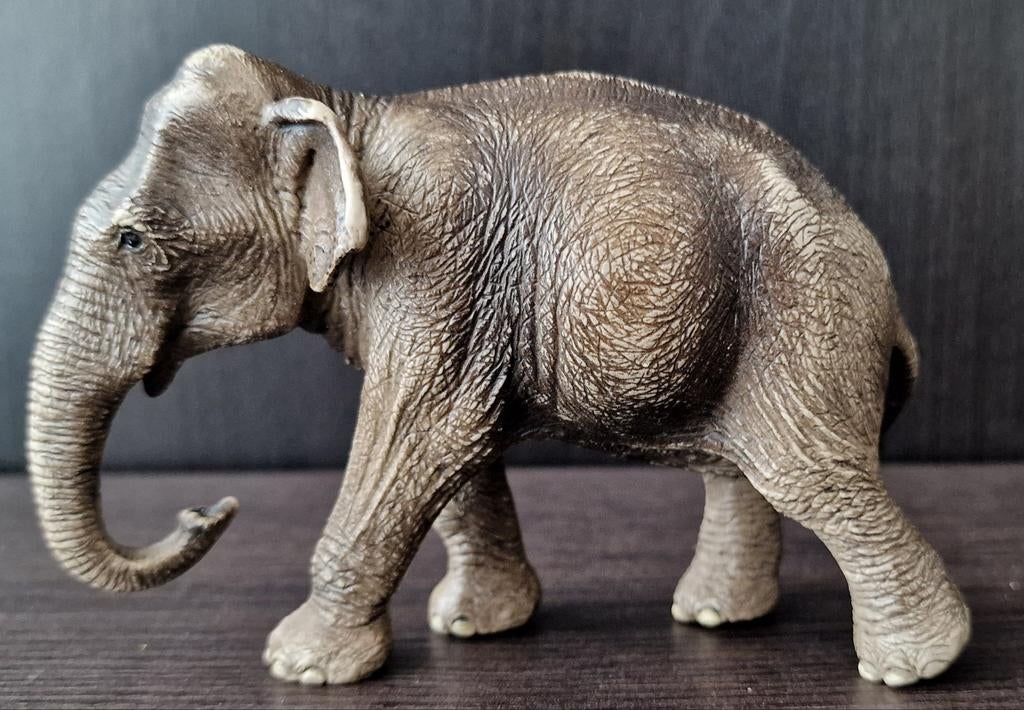 Schleich Wild Life Aziatische Olifant - 2015, Ophalen of Verzenden, Gebruikt, Wild dier, Beeldje of Figuurtje